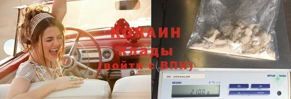 соль ск Семёнов
