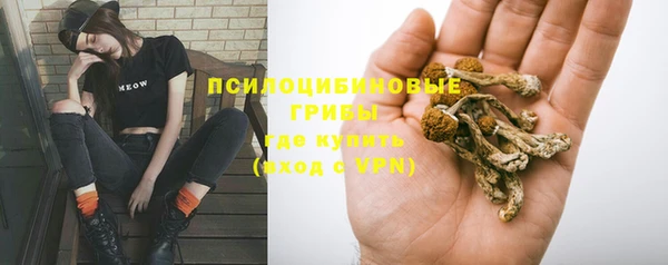 ПСИЛОЦИБИНОВЫЕ ГРИБЫ Богородск