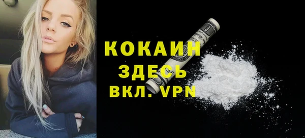 соль ск Семёнов