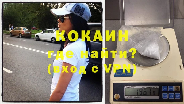 дмт Богданович