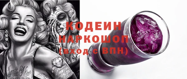 дмт Богданович