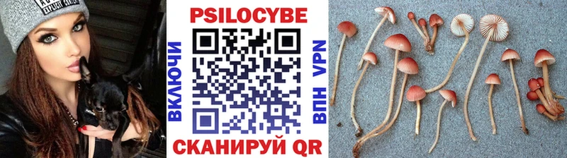 Псилоцибиновые грибы Psilocybine cubensis  где найти наркотики  Тулун 